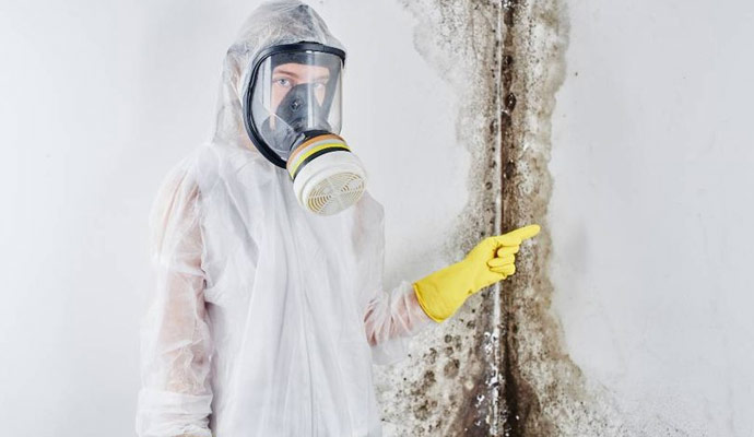 5 common areas to look for mold before you purchase your dream home