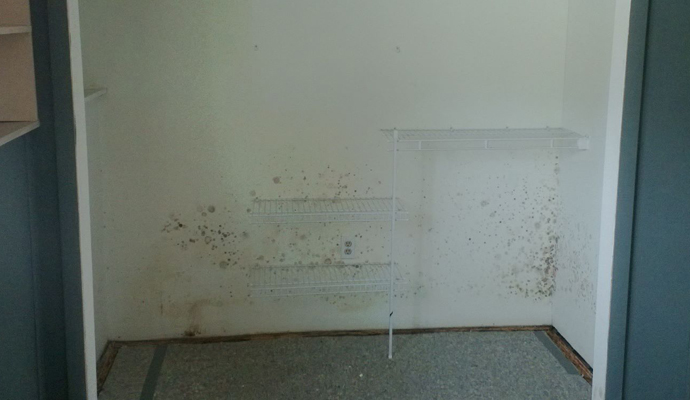 Mold Structural Damage Restoration in Helena & Bozeman, MT