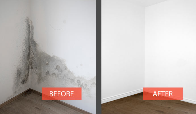 before and after view of black mold remediation from the wall