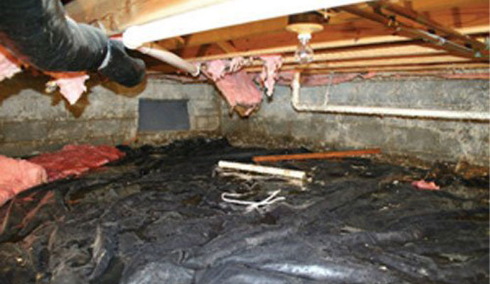 Crawl Space Repair: Before