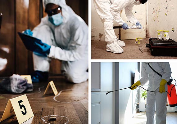 Crime scene inspection, disinfection and biohazard process