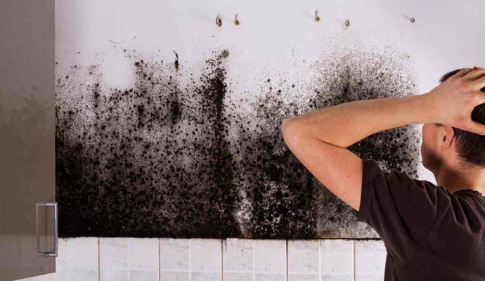 dealing with mold in your home