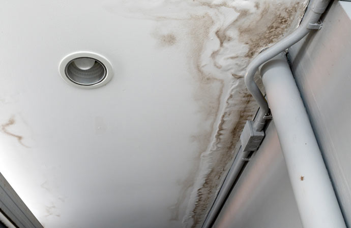 Mold Damage Restoration from a Plumbing Leak in Montana