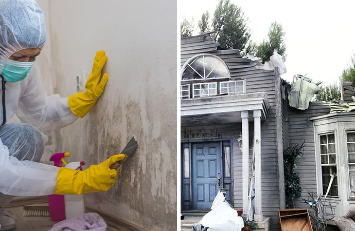 mold remediation and disaster recovery service in Kalispell