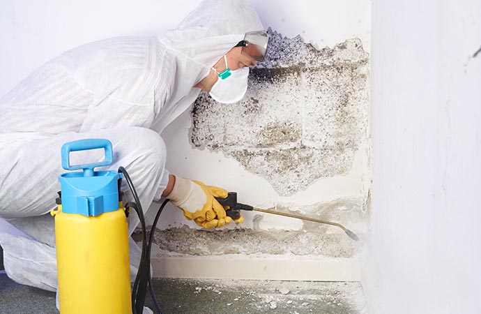 mold remediation service in great-falls