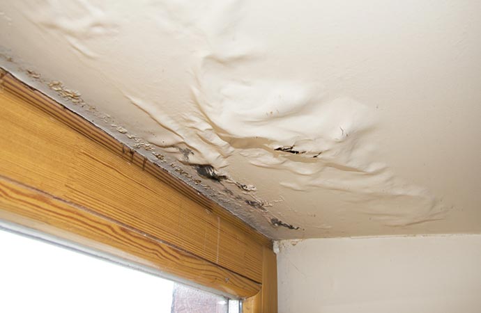 roof leak water damage repair service