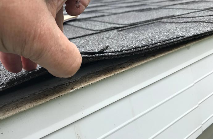 Professional worker checking water damaged roof