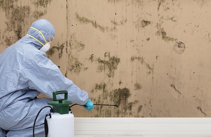 Worker removing mold from wall