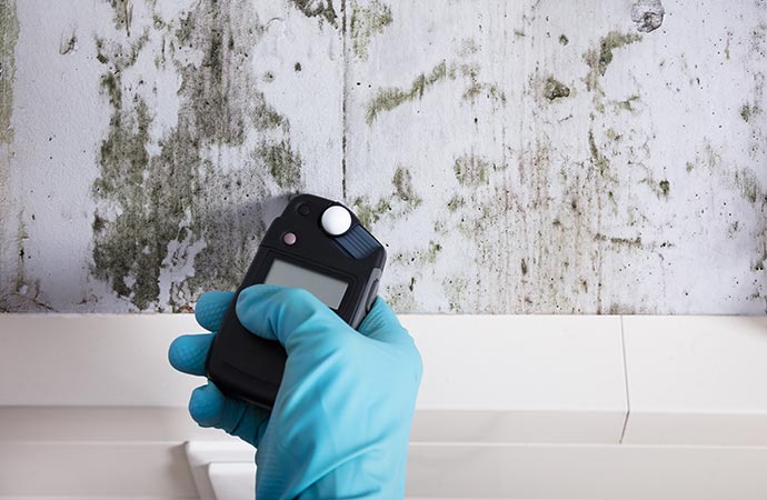 worker testing mold in montana